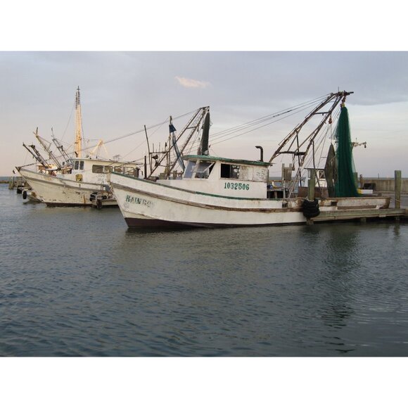 Canon PowerShot SD960 IS Digital Camera 12.1MP 4x Optical Zoom HD Video 8GB SD - Picture 7 of 16